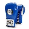Cleto Reyes 'Safetec' Pro Fight Boxing Glove