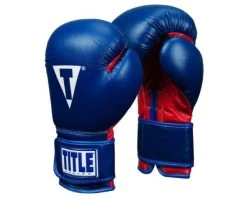 TITLE Essential Boxing Gloves -Boxing Equip Shop esbg bl wh 1 1