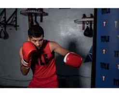TITLE Gel E-Series Training/Sparring Gloves -Boxing Equip Shop esstg rd