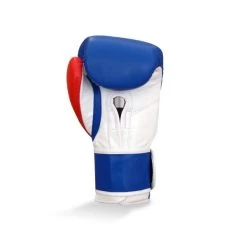 Ringside Junior Training Boxing Gloves -Boxing Equip Shop junior glove 2012 blue back