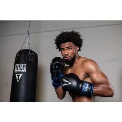 TITLE Platinum Perilous Lace Sparring Gloves 7 TITLE Platinum Perilous Lace Sparring Gloves -Boxing Equip Shop ppssgl 1