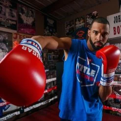 TITLE Boxing Sugar Ray Leonard Signature Leather Sparring Gloves -Boxing Equip Shop tb165 12