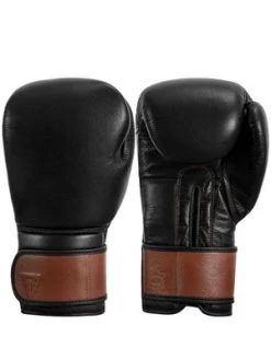 TITLE Boxing Honorary Training Gloves