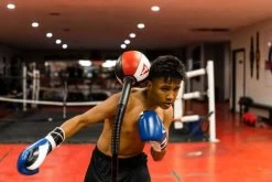 TITLE Deluxe King Cobra Reflex Bag -Boxing Equip Shop tfsrb 10