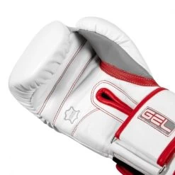 TITLE GEL Special Edition Bag Gloves -Boxing Equip Shop title gel special edition bag gloves 3