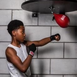 TITLE Classic Speed Bag 5 TITLE Classic Speed Bag -Boxing Equip Shop titlered