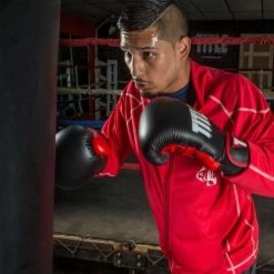 TITLE Dynamic Strike Heavy Bag Gloves -Boxing Equip Shop xdbg bk rd 2 1 1